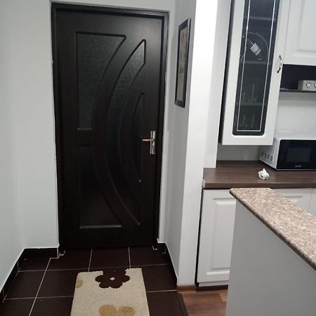 Penti Apartament Сучава Екстер'єр фото