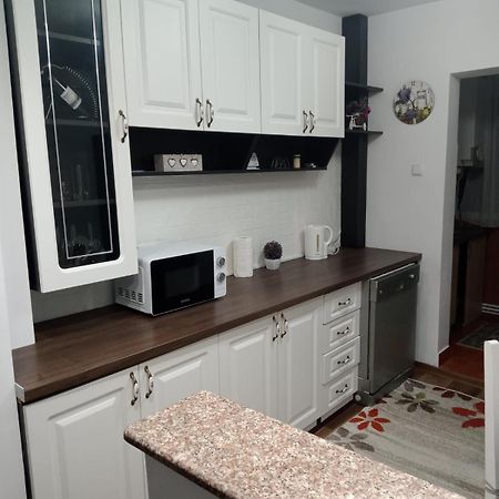 Penti Apartament Сучава Екстер'єр фото