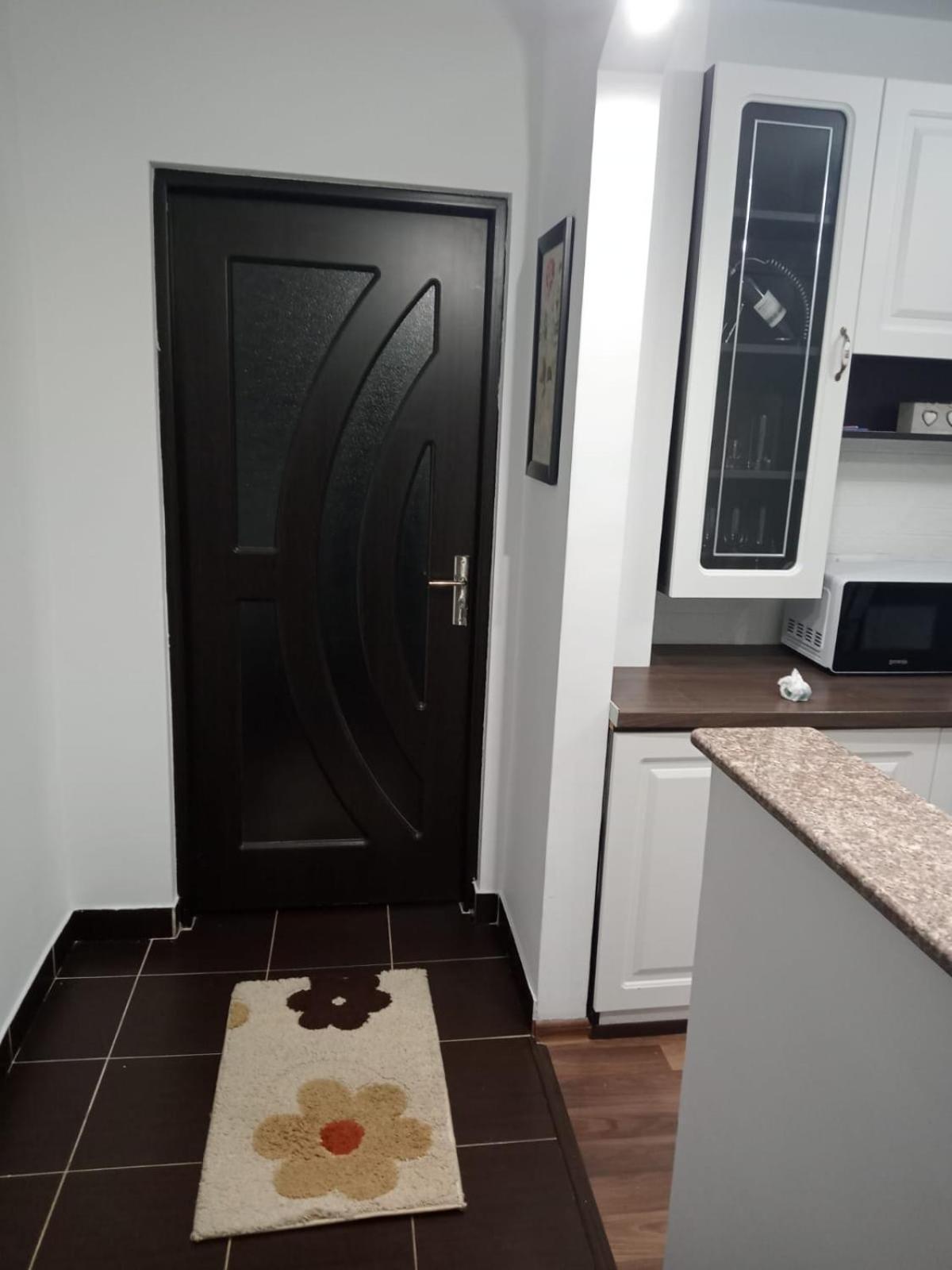 Penti Apartament Сучава Екстер'єр фото